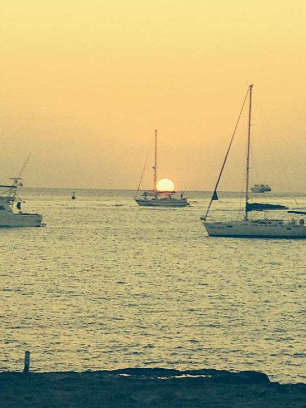 Anna Ferzetti (@annaferzetti) on Twitter photo 