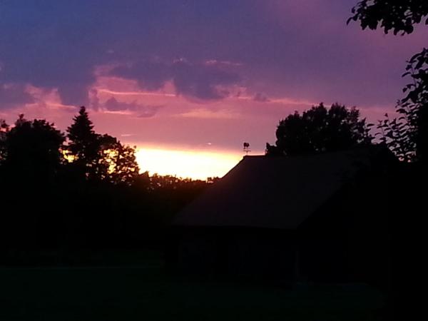 BanutaMuzejs's tweet image. Ja vari darīt visu, ko gribi, un, ja dari tikai to, kas der - Tev ir īsta brīvība (R.Kaudzīte)