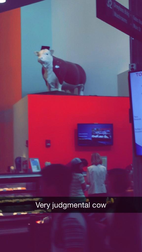 designdoode's tweet photo. I spotted the most judgmental cow at #MIT #D4DBoston http://t.co/FEKEydg6o6
