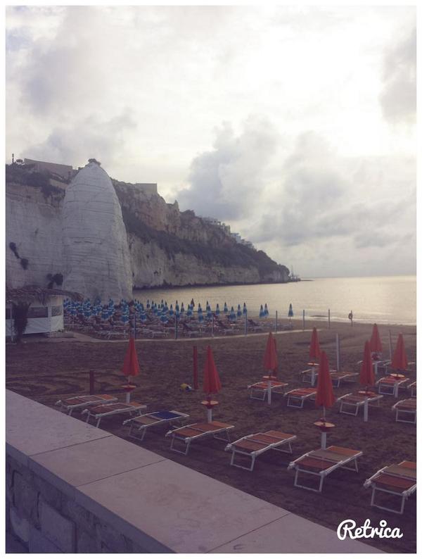 mary moscelli tweet media