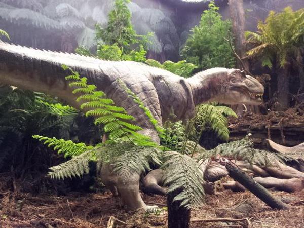 madrobot2's tweet image. #edenphotocomp It was raining, but we all had a great day out.