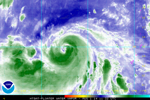 NOAASatellites's tweet image. #TropicalStorm #Halong tracking west-northwestward in the W. Pacific. MTSAT water vapor imagery 7:32 am EDT.