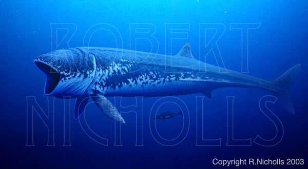 古代種生物図鑑 Ittayuu Timeline The Visualized Twitter Analytics