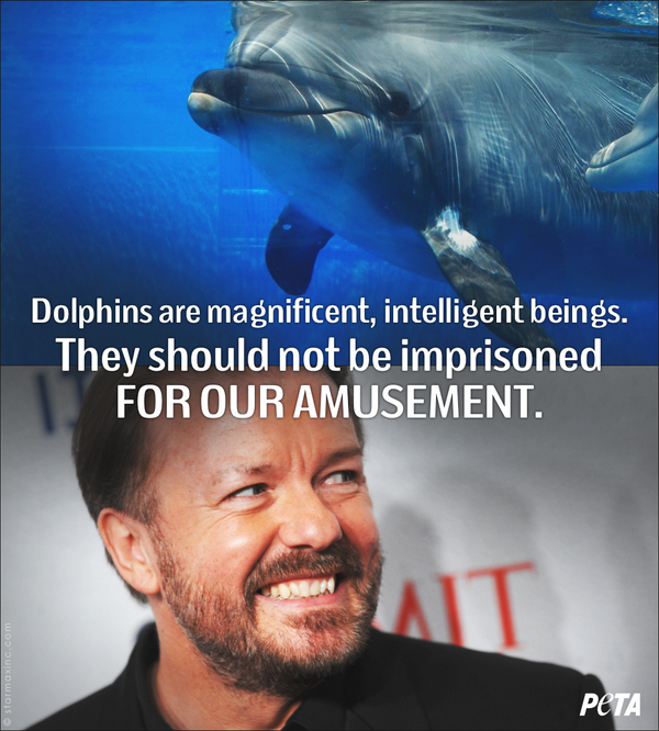 peta's tweet photo. Animals are not ours to USE FOR ENTERTAINMENT.

RT if you agree with @rickygervais! #BoycottSeaWorld http://t.co/o45GE7LzJa