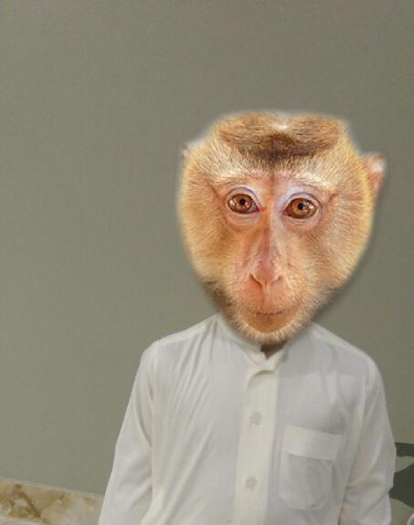 رينا بنت عبدالعزيز On Twitter عشانك يا رند تحولت قرد Http T Co Yju9dlcf3q