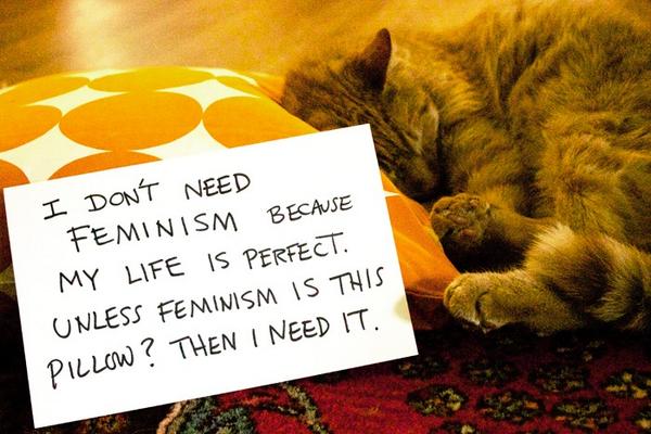 Gatos confundidos contra el feminismo. Los amo – vía <a href="/belelu/">Belelú</a> bit.ly/1nbiEgv