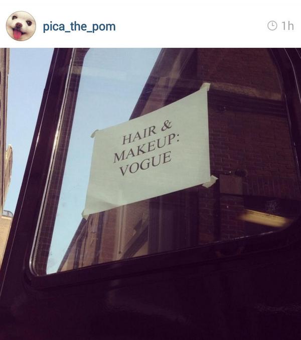 SandraPersing's tweet image. In NYC today? See a fluffy white dog? Catch #picathepom and #vogue #piperlime shooting their latest commercial!