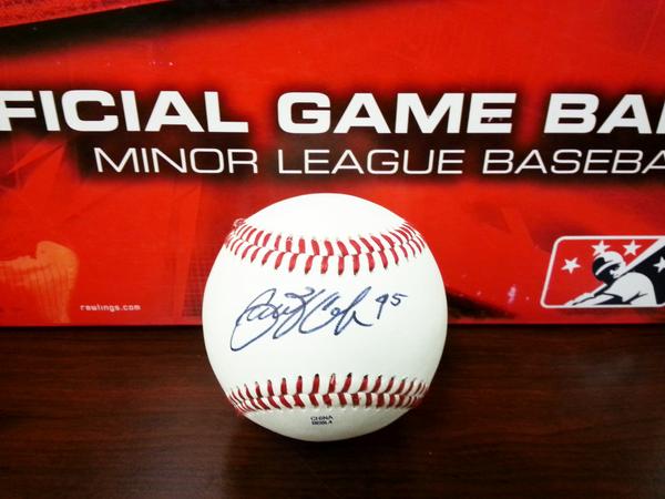 rowdiebear's tweet photo. RT this by 8 PM today to enter to win a Gerrit Cole signed ball! @MiLB #MascotMania #VoteRowdie http://t.co/VO5YZNvYms