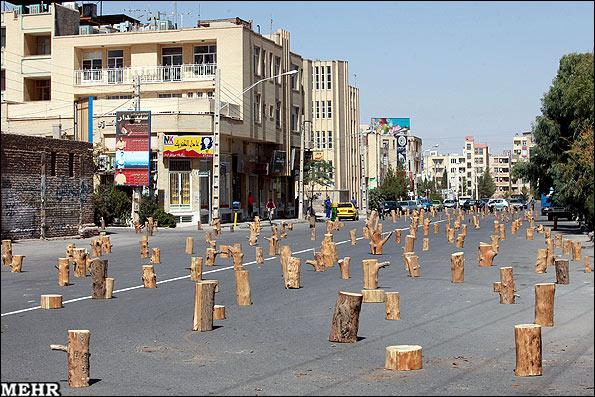 Assaad Razzouk Pa Twitter Powerful Art Installation Commentary On Deforestation City Of Kerman Iran 11 Http T Co Dqnglyjd7q