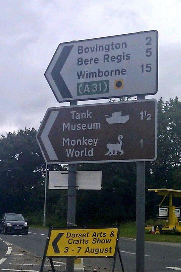 TomButler's tweet photo. Did we learn NOTHING? RT @NickdeSemlyen: Uh-oh. #DOTPOTA #MonkeyInvasion http://t.co/fBr1ssLFHk
