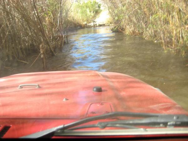 JeepCountry tweet picture