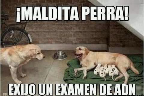 ssa_jul's tweet photo. Yayuuuu jajajaja http://t.co/rT1EoAsjGP