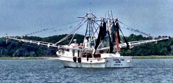 vwomack's tweet photo. Lovin time on the water! http://t.co/dyeEBQoLfW