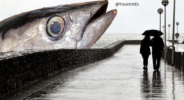 "<a href="/YisucristEs/">jezucrihto xd</a>: ¡Mira q bonito! "<a href="/SaraaGiron/">Sara Girón</a>