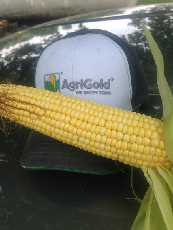CoryRitter's tweet photo. 18x44 at 33k.... U do the math... People get mad at me. #not65 http://t.co/pmayi1WaaU