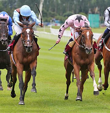 BloodHorse's tweet photo. RT @BH_AEberhardt: #MangoDiva (Pink) wins #KilboyEstateStakes. #MichaelStoute @curraghrace 
#CarolineNorris photo
http://t.co/T4GiYxQ1LK