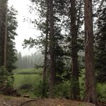 Photo by Devils Postpile (@DevilsPostNPS)