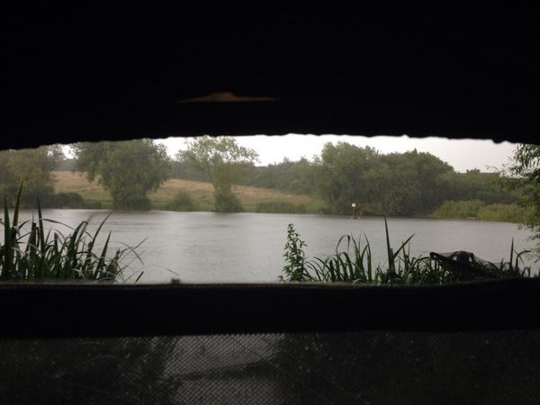 micky yum payne (@looneyhammer) on Twitter photo 