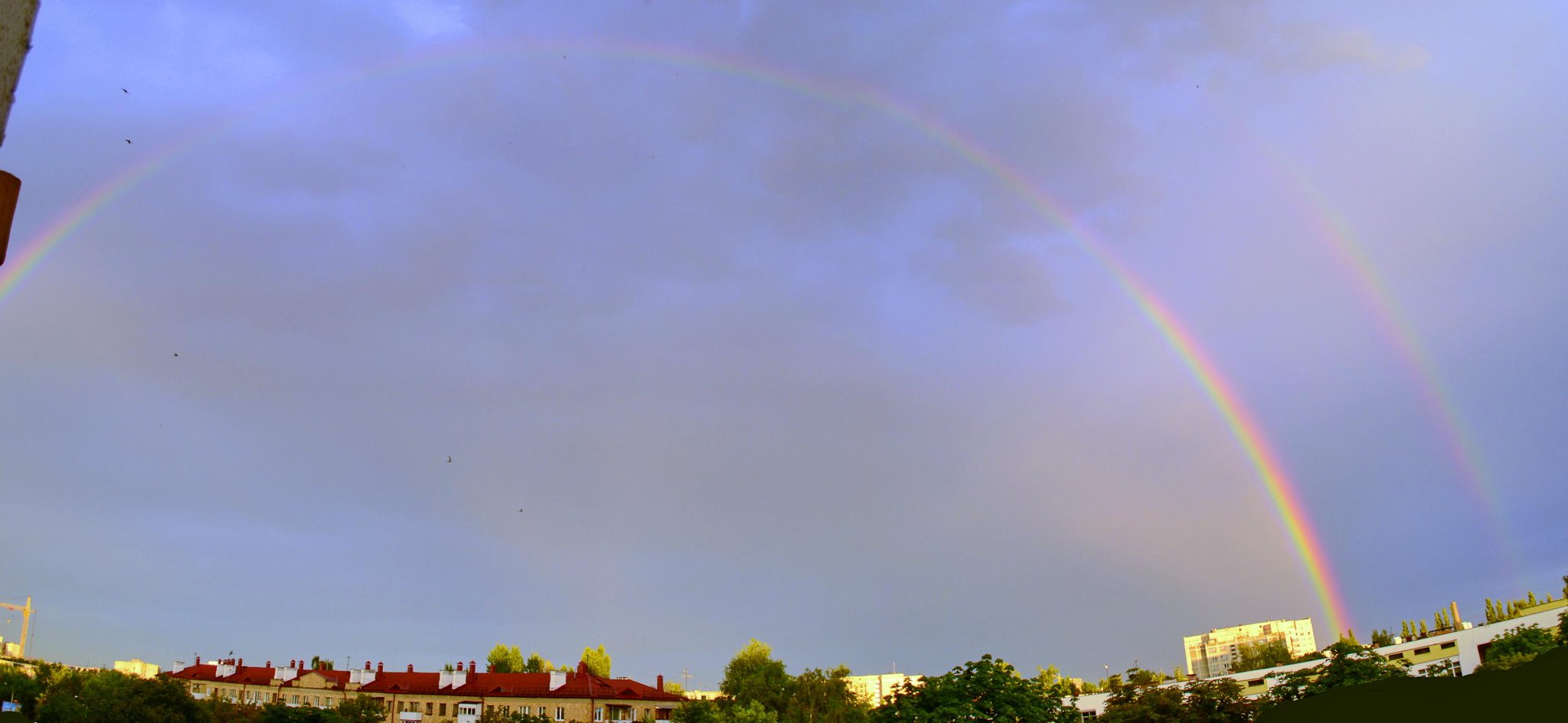 День радуги в Бресте: после дождя над городом красота