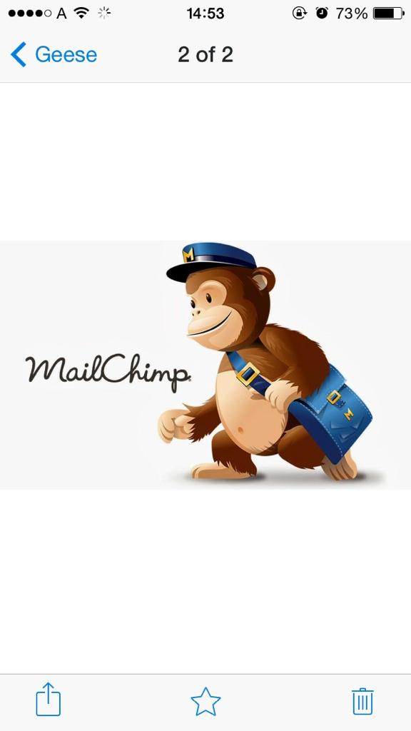 GeeseShop's tweet image. #Geese | Sign up for updates and general friendly chatter on our newsletter via the site - bit.ly/geeseshop