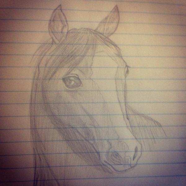yourpunklov3's tweet photo. I drew a horse :) #drawing #sketch #art #horse http://t.co/gjcDp4x3kk