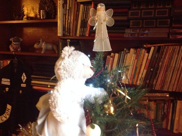 bears22548's tweet photo. Photos from last christmas with lilac isis and luky not me though http://t.co/zVN2lmp3yC