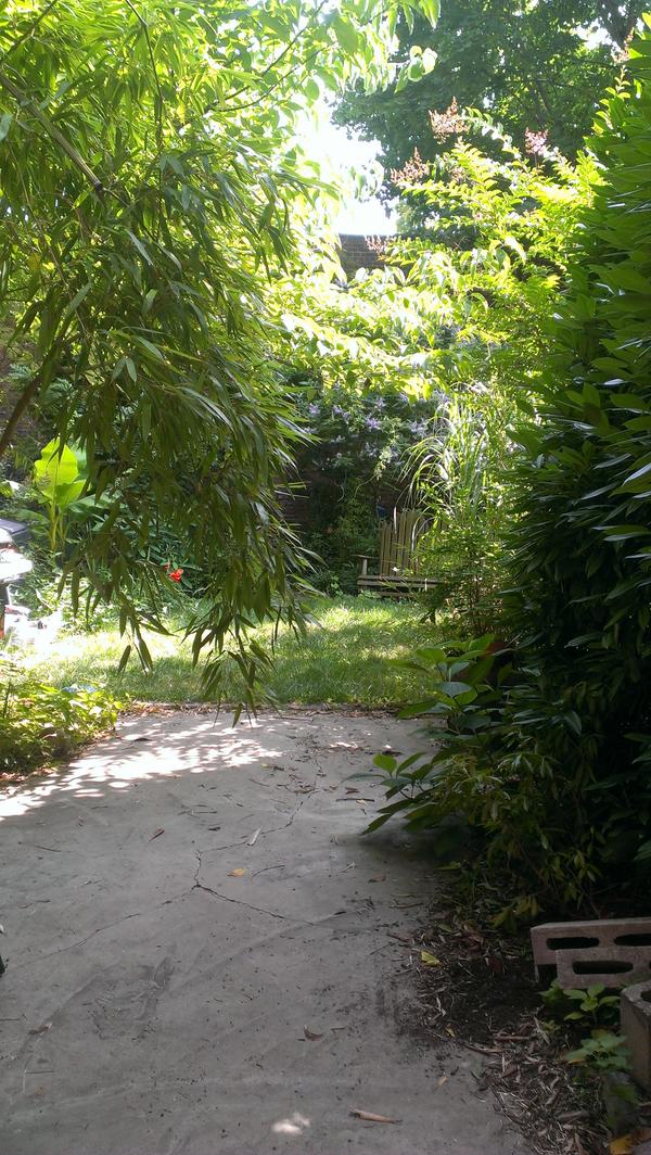 rictrombone's tweet image. Hanging in the backyard in Brooklyn, potluck styles but we got a few things.  Text for address!