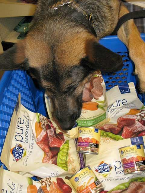 Tripawds's tweet image. Real food for real dogs. Win $400 of #PureEssentials limited ingredient diet. Last day! bit.ly/1rtTMrD
