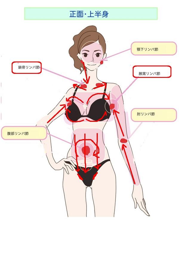 セルライトバスターズ セルライト対策 上半身のリンパ管は 脇の下のリンパ節に集中しているので 下半身とこの2つのリンパ節を最初にマッサージしてあげることで リンパ液の循環をスムーズにすることができま Http T Co No1izlspak