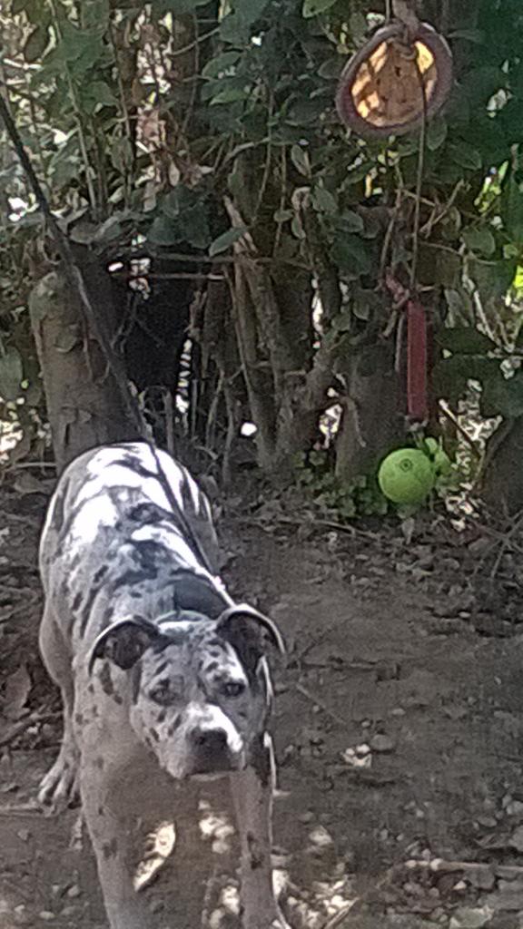 jaylow_john's tweet image. My baby