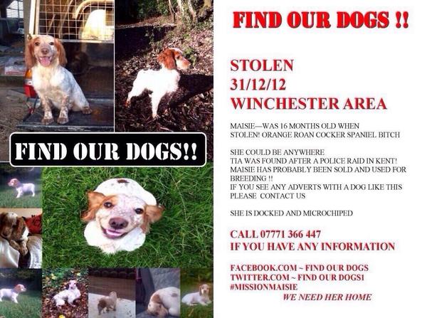 MissionMaisie's tweet photo. @minimunch87 For Maisie's sake please RT #MissionMaisie http://t.co/7gwaHyRkrl