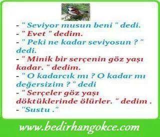 ali haydar (@alihaydar1978) on Twitter photo 