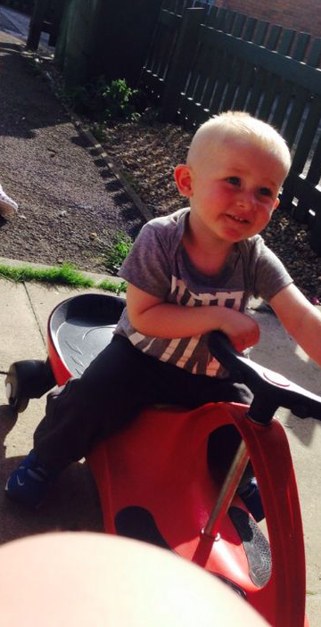 sleighbarker's tweet photo. such a handsome little dude:* http://t.co/VtbCvMOCfb