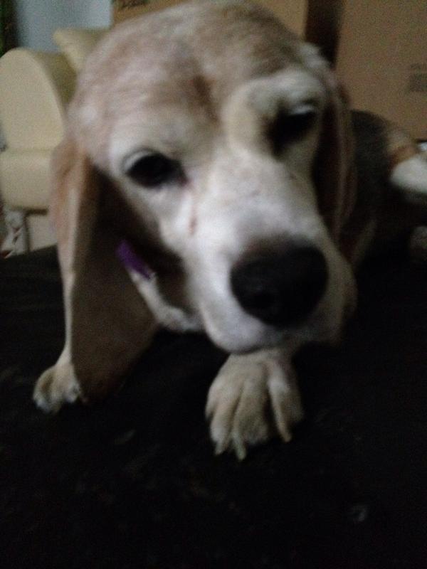 NYCSandyNeeds's tweet image. We work hard for good causes...now we need your help: gfwd.at/1qLz3fm