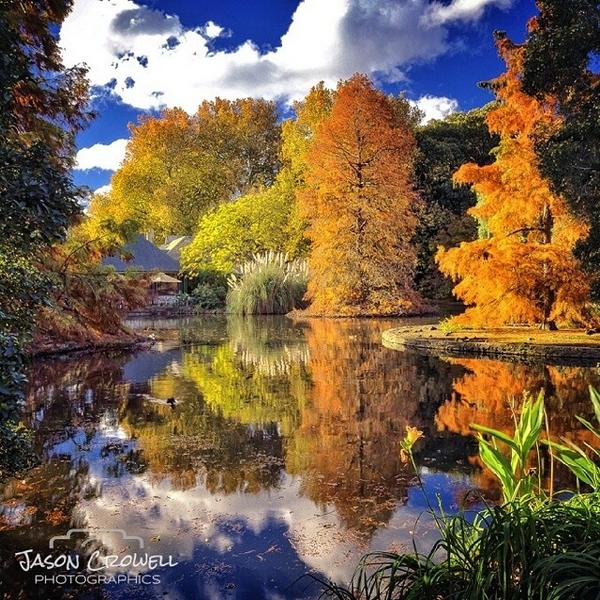 southaustralia's tweet photo. The colours of #Adelaide - photo taken by jasoncrowellphoto (IG) on an autumn day in Adelaide Botanic Garden! http://t.co/4gSdYUiaKF