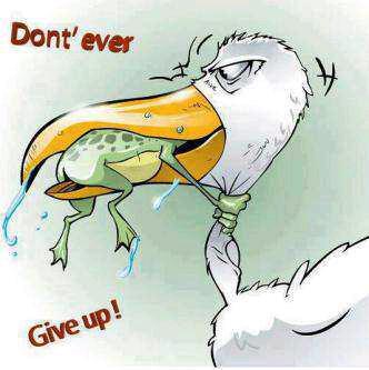 tiaann's tweet photo. Iya bgnit, tp namanya gak disambung2in gt jugak -___-" RT @bonitninit: Don't give up my novizalni tiaann dari http://t.co/anE26JErTB
