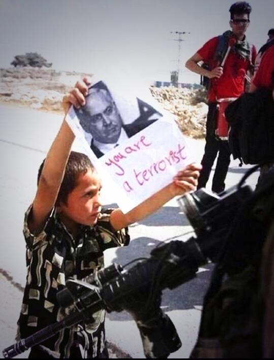 YOU ARE A (FOOLISH!!)...#GazzedeKatliamVar