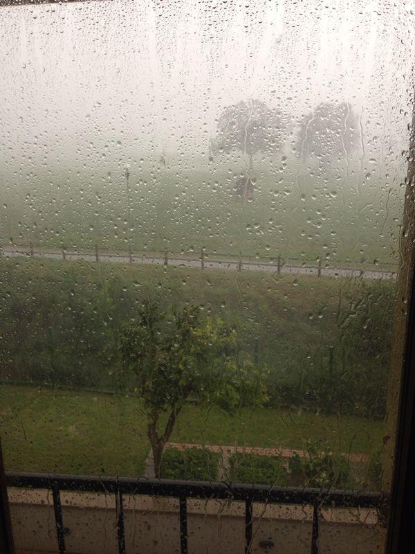 kiarakiki13's tweet image. #buongiorno! Vado a raccogliere funghi per poi mangiarli con la polenta! 15€ al kg. Vi interessa?!
#danzadelsole