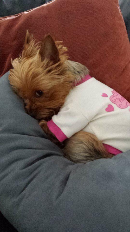 introvertsmemes's tweet photo. When somebody wakes you up but you're not ready http://t.co/8FqldhqZpO