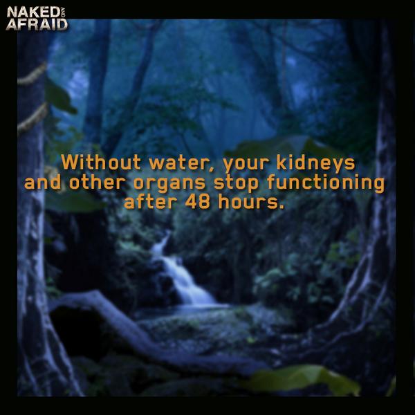 With no other choice, <a href="/AdamYoungFL/">Adam Young</a> &amp; Jaclyn head to the waterfall.