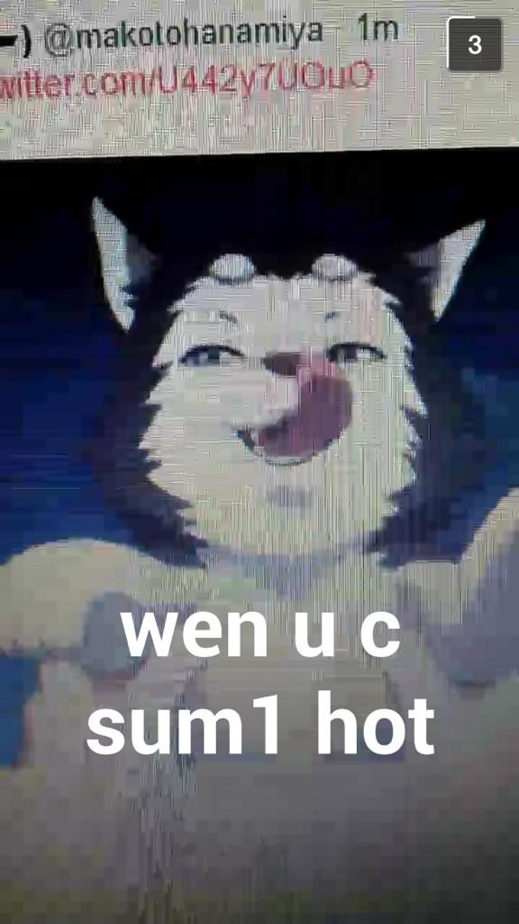 hellarin's tweet image. 