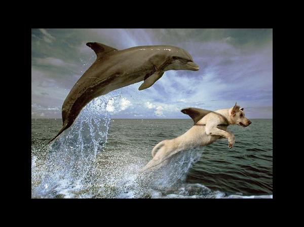 amerben3's tweet image. 