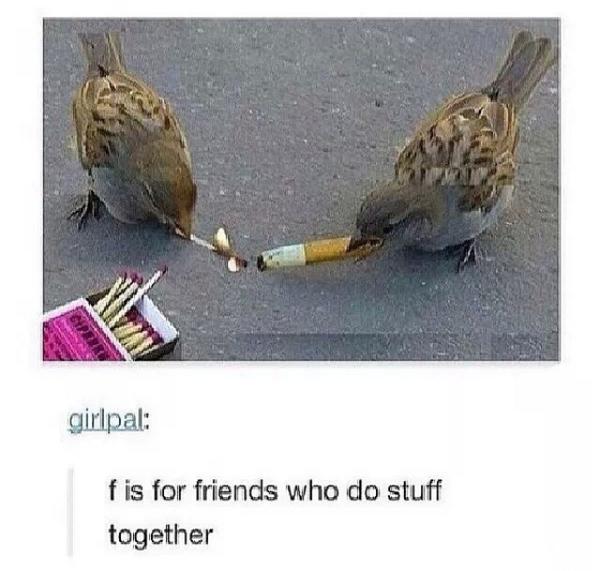 DailyHumorPage's tweet image. Follow my new account for more great Tumblr Post (; #tumblr #tumblrpost