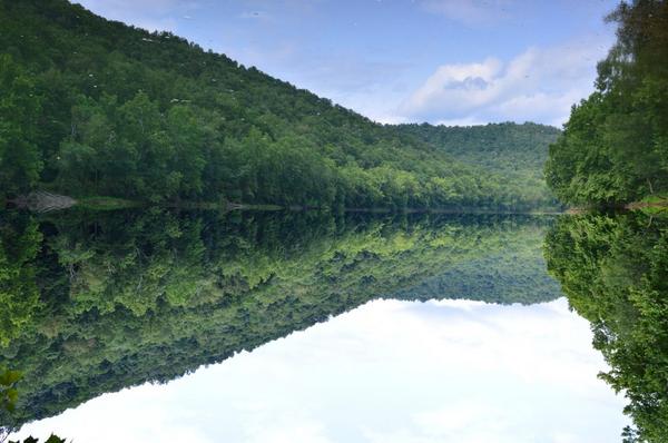 rensagec's tweet image. favorite shot from today 📷🌸 #whichisreal