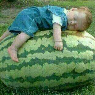 aliabaaly tweet picture