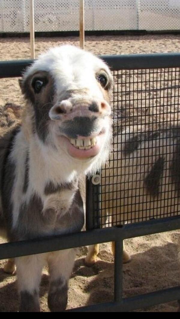 KidTheSquid_'s tweet photo. Me whenever customers at work are pissy http://t.co/BfR98WbHZ9