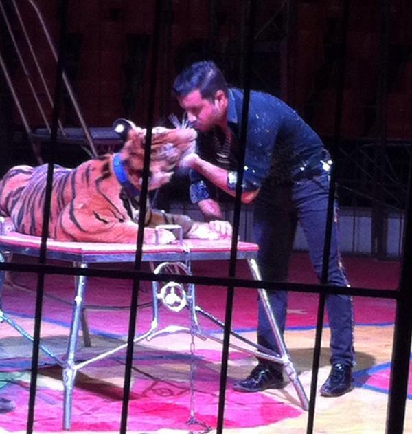 MeelanieGarciaa's tweet photo. @AnimaNat_Mexico A esto le llaman maltrato animal? @OnlyJAFR http://t.co/xsTLUREGt7