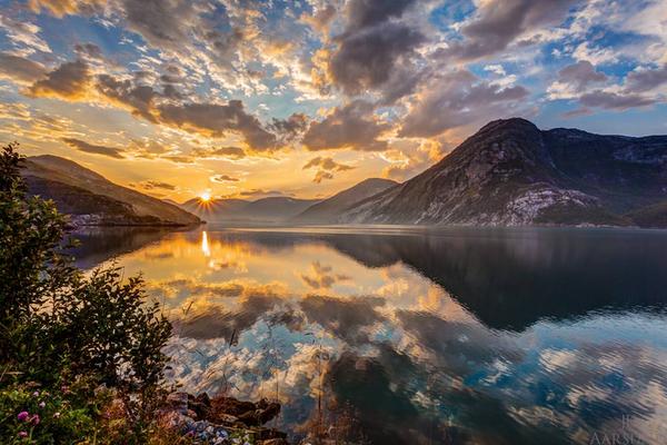 Gabriele Corno tweet media