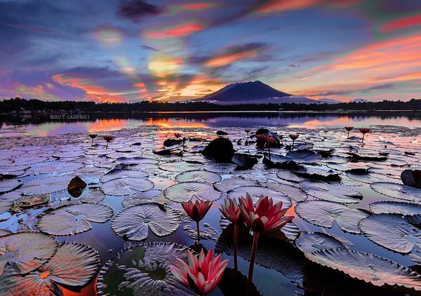 Gabriele Corno tweet media