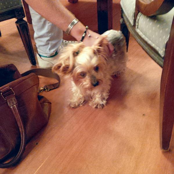 Special guest at @cafekaizen :) 
<a href="/CreatureC_Ltd/">Creature Clothes</a>